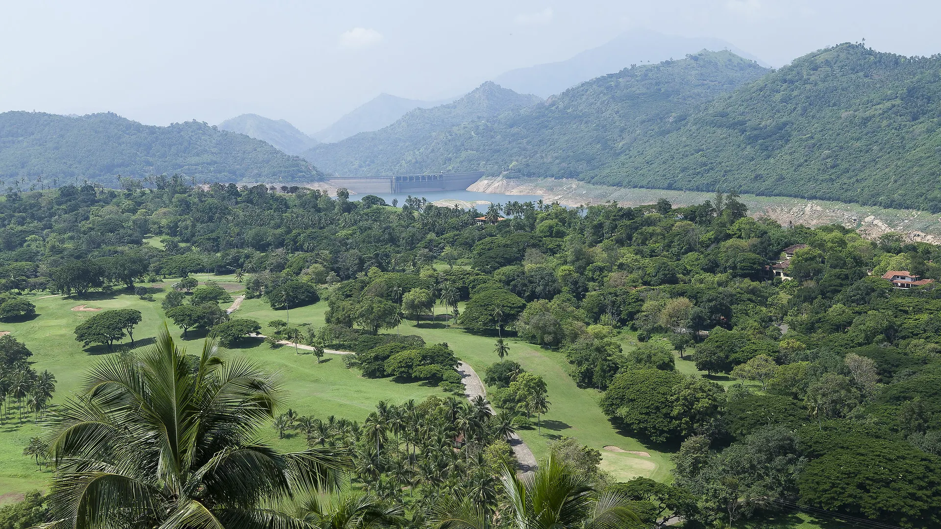 The Albatross, Kandy Digana