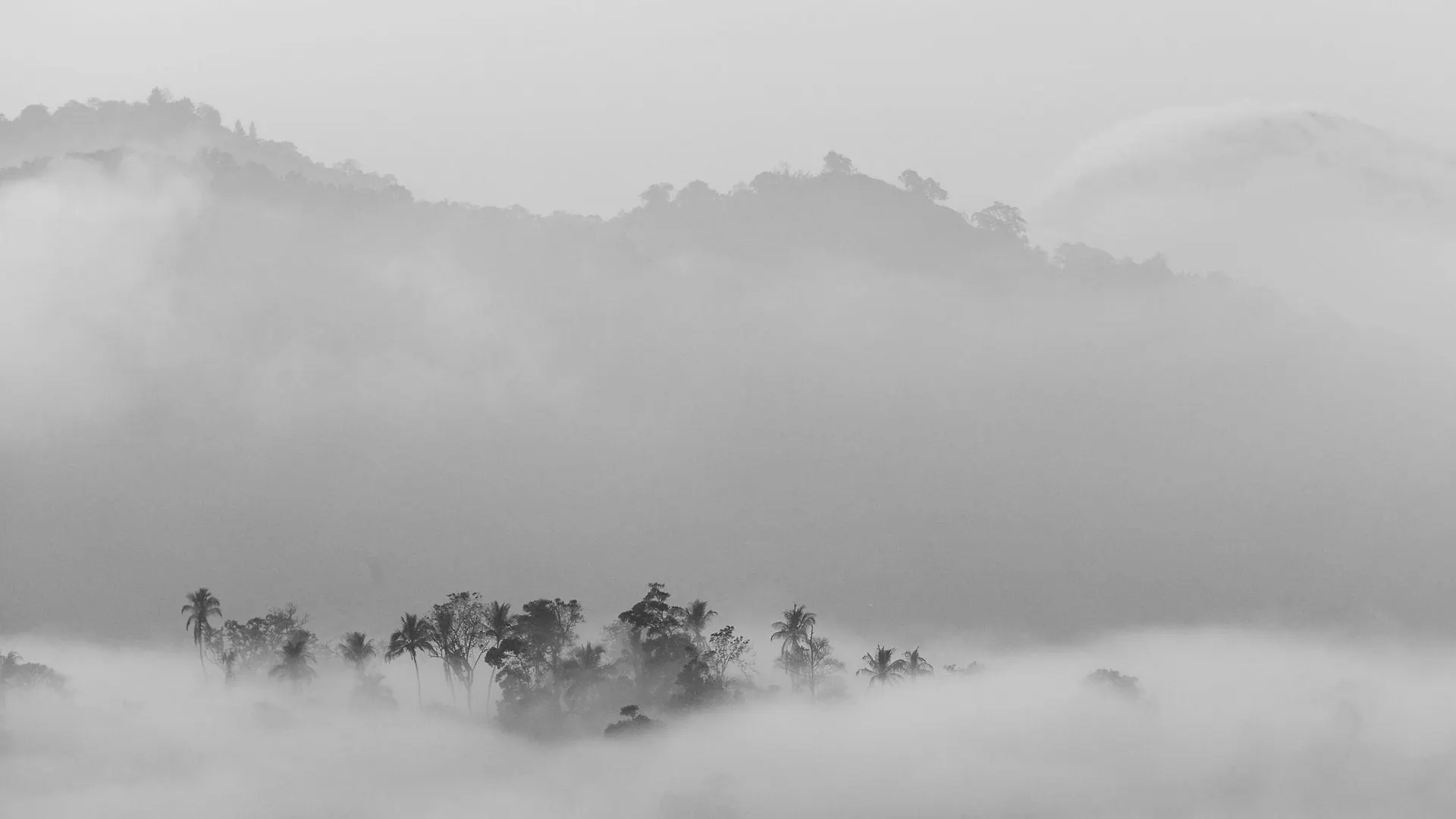 The Albatross, Kandy Digana Sri Lanka